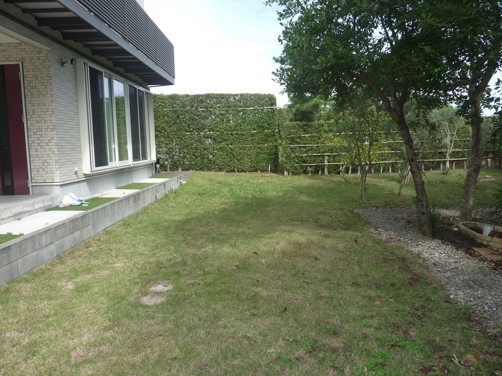 南側の庭は芝で手入れされております