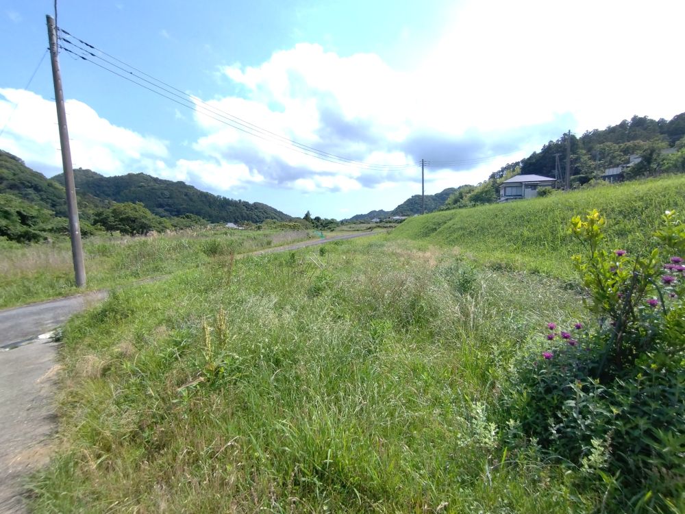 南側の庭は菜園など楽しめます