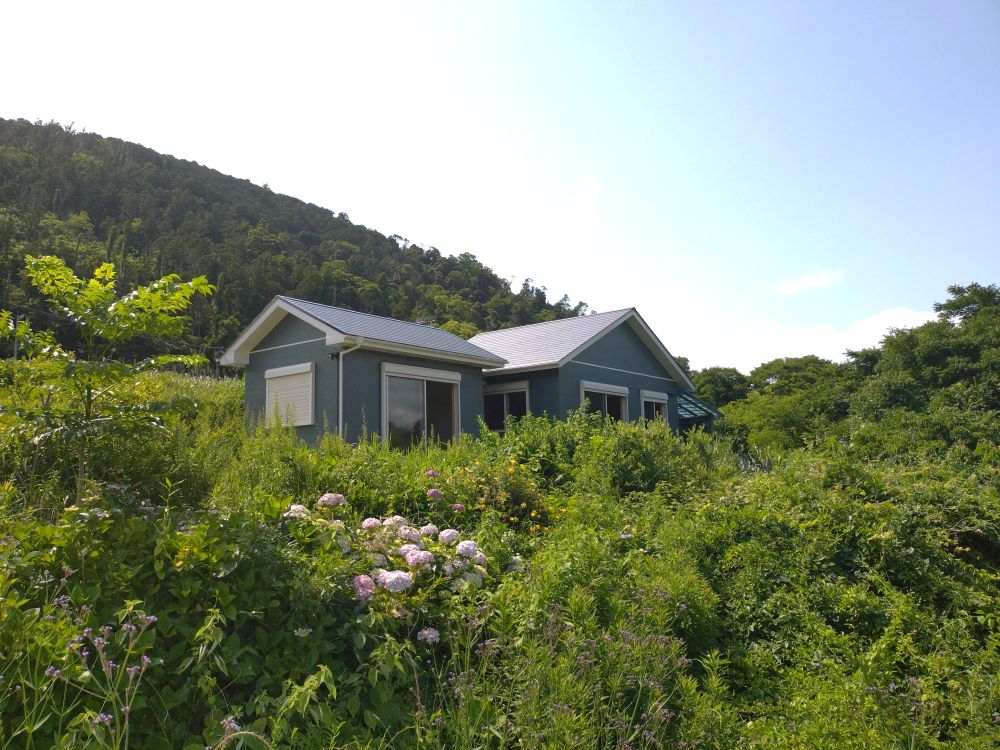 自然豊かな住環境です